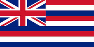 hawaii flag plan